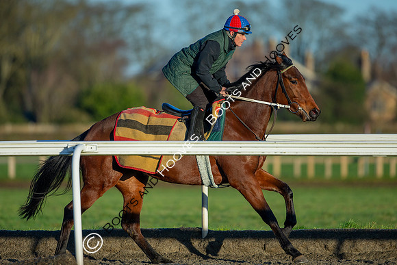 Newmarket Gallops