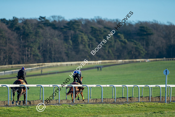 Newmarket Gallops