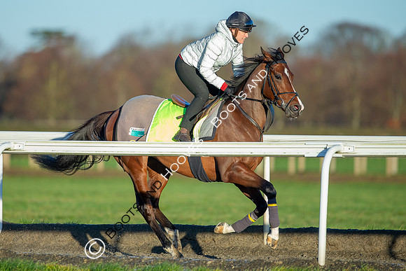 Newmarket Gallops