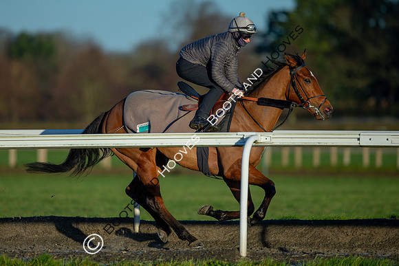 Newmarket Gallops