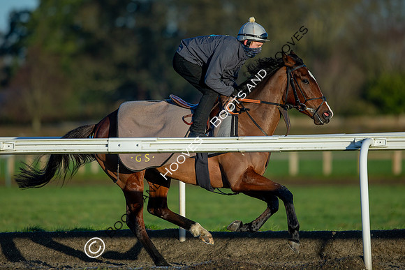 Newmarket Gallops