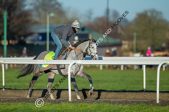 Newmarket Gallops