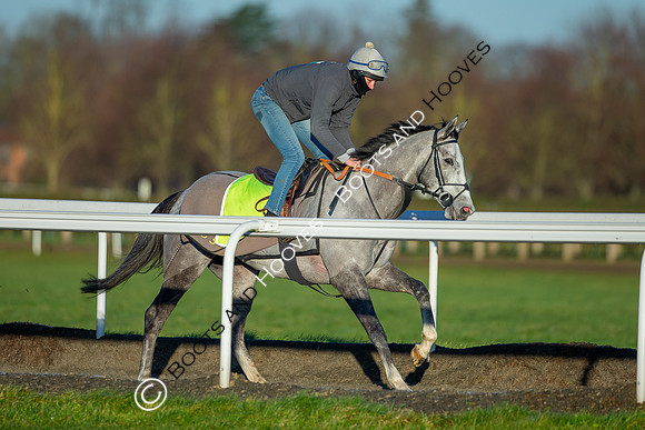 Newmarket Gallops