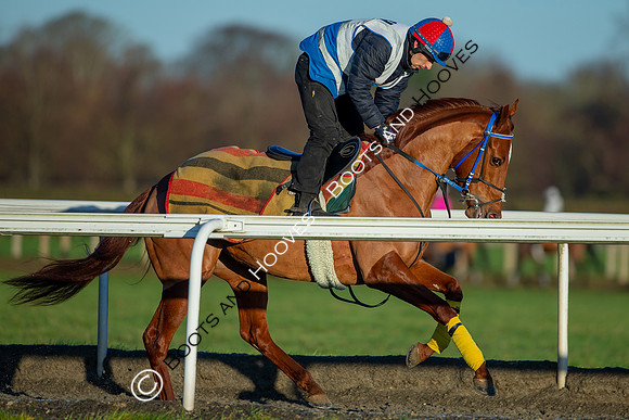 Newmarket Gallops
