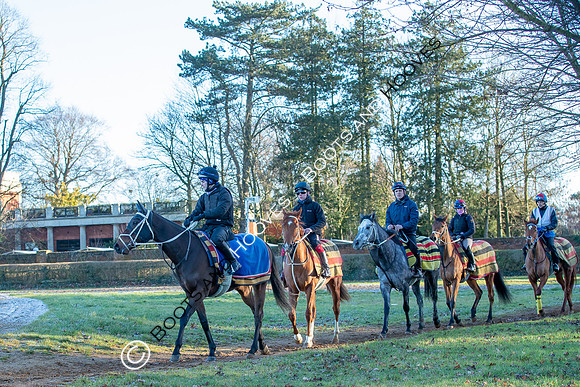 Newmarket Gallops