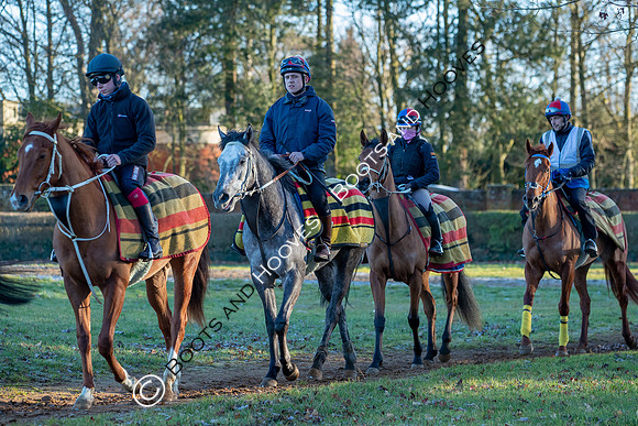 Newmarket Gallops