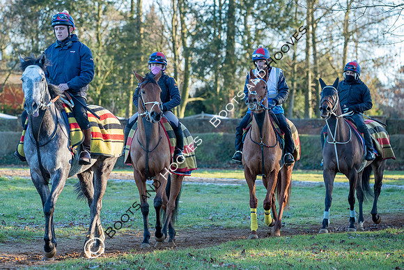 Newmarket Gallops