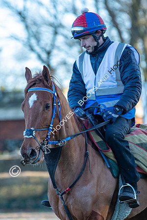 Newmarket Gallops