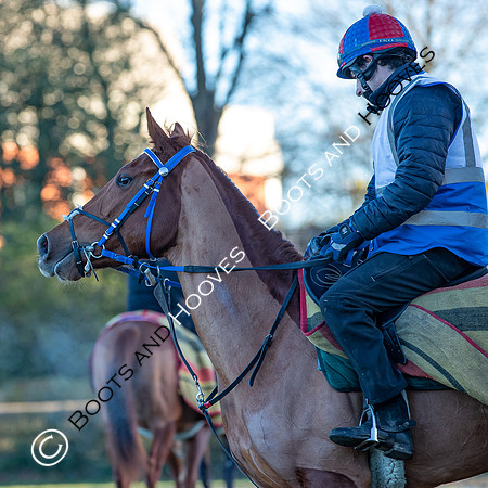 Newmarket Gallops