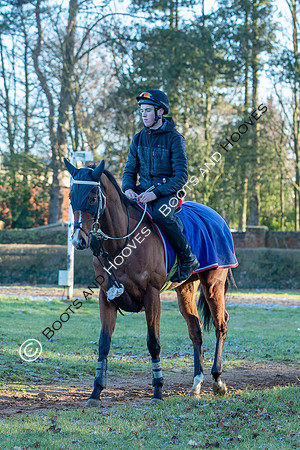 Newmarket Gallops