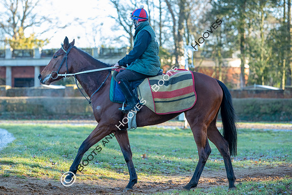 Newmarket Gallops