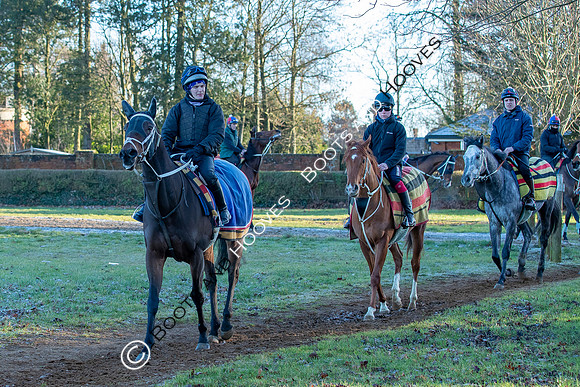 Newmarket Gallops