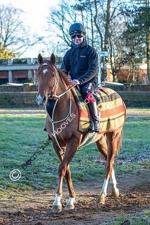Newmarket Gallops