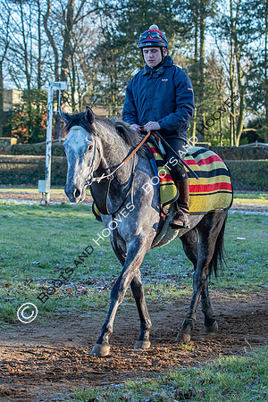 Newmarket Gallops