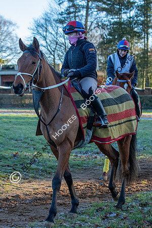 Newmarket Gallops