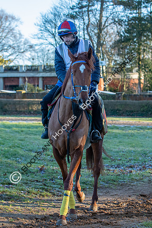 Newmarket Gallops