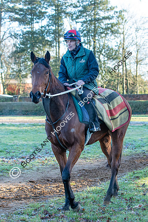 Newmarket Gallops
