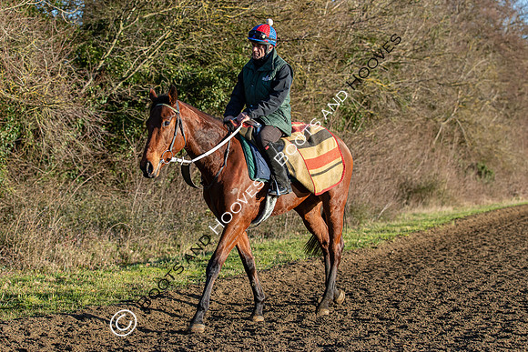 Newmarket Gallops