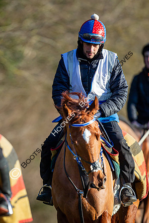 Newmarket Gallops