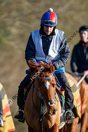 Newmarket Gallops