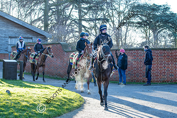 Newmarket Gallops