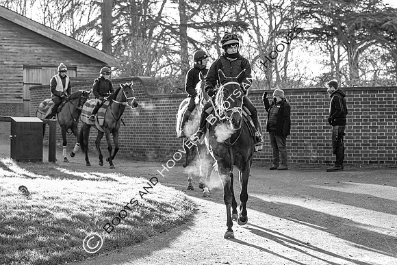 Newmarket Gallops