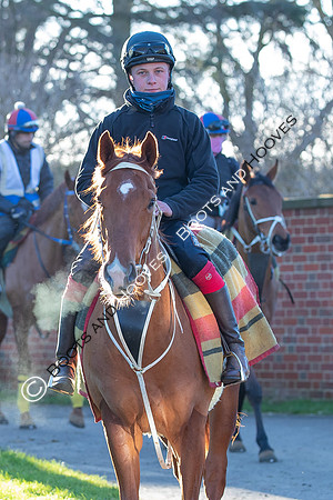 Newmarket Gallops