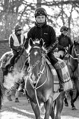 Newmarket Gallops