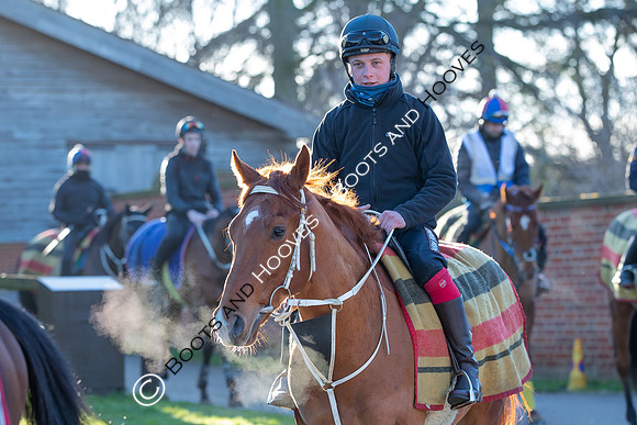 Newmarket Gallops