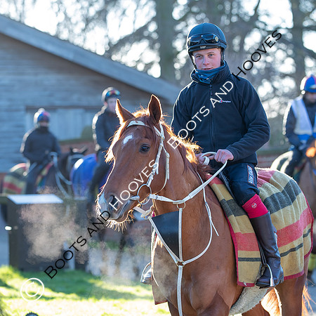Newmarket Gallops