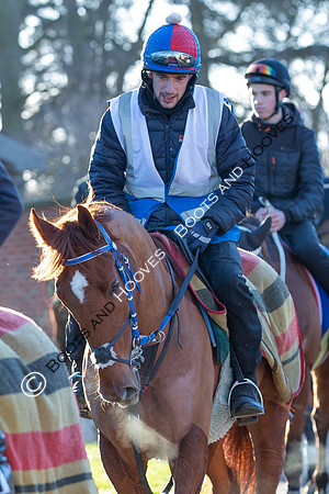 Newmarket Gallops