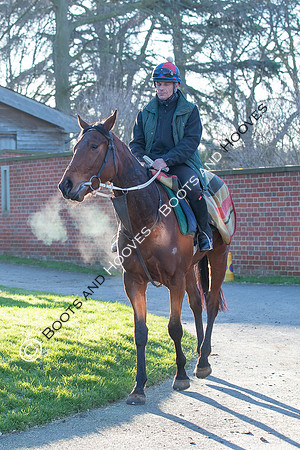 Newmarket Gallops