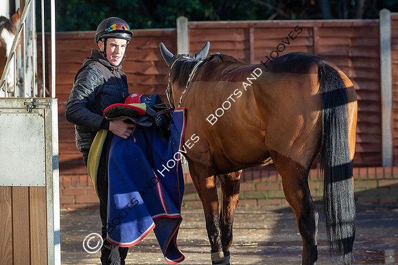 Newmarket Gallops
