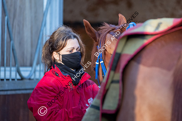 Newmarket Gallops