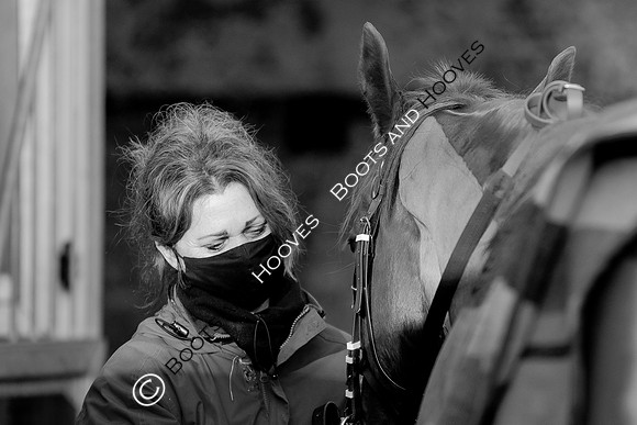 Newmarket Gallops