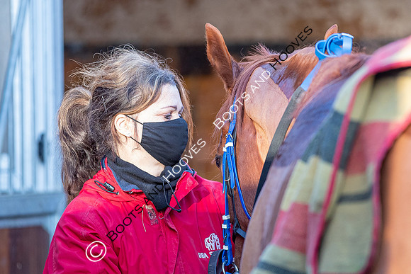 Newmarket Gallops