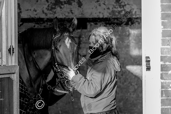Newmarket Gallops
