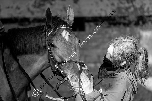 Newmarket Gallops