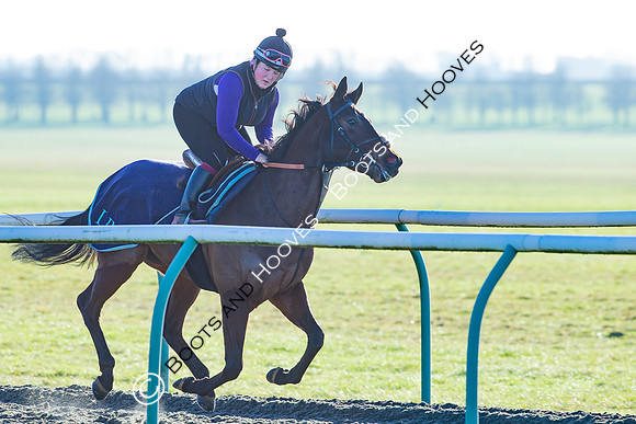 Newmarket Gallops