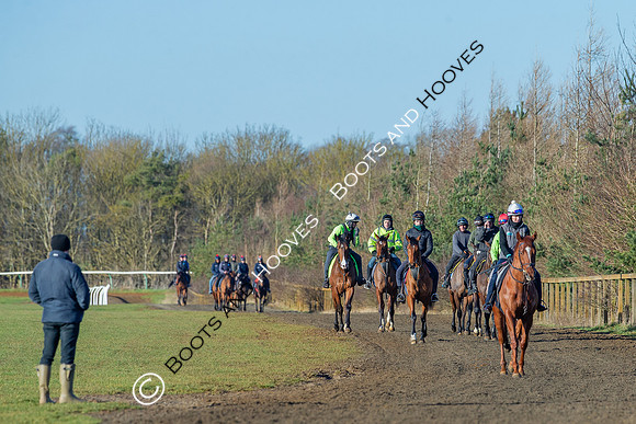 Newmarket Gallops