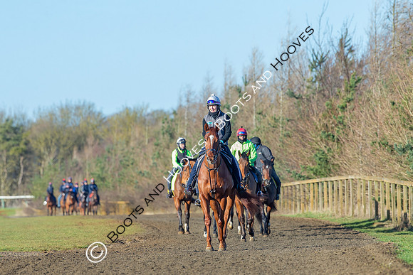 Newmarket Gallops