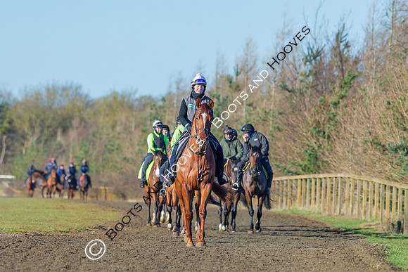 Newmarket Gallops