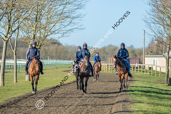Newmarket Gallops