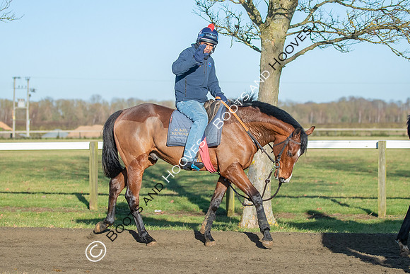 Newmarket Gallops