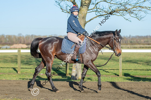 Newmarket Gallops