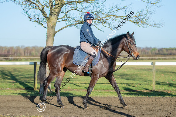 Newmarket Gallops