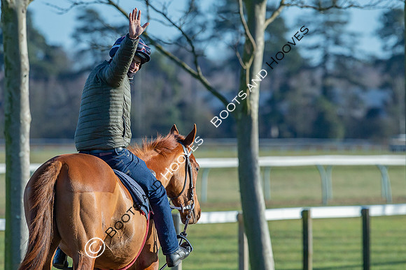 Newmarket Gallops