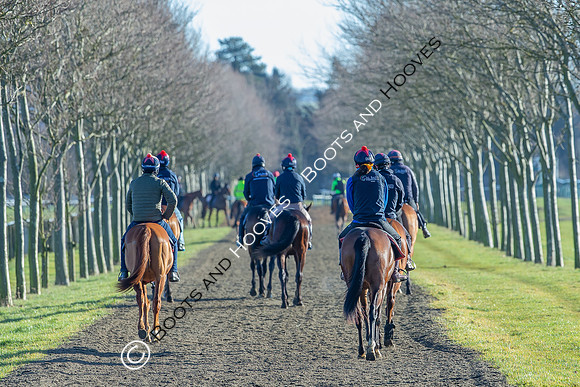 Newmarket Gallops