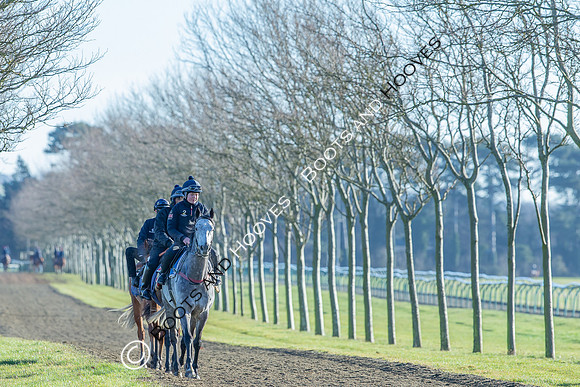 Newmarket Gallops