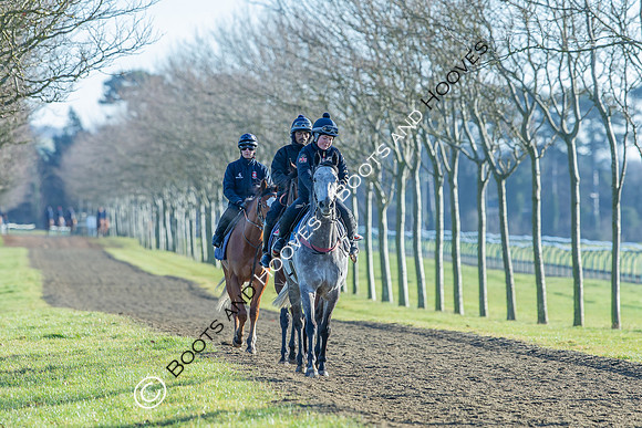 Newmarket Gallops